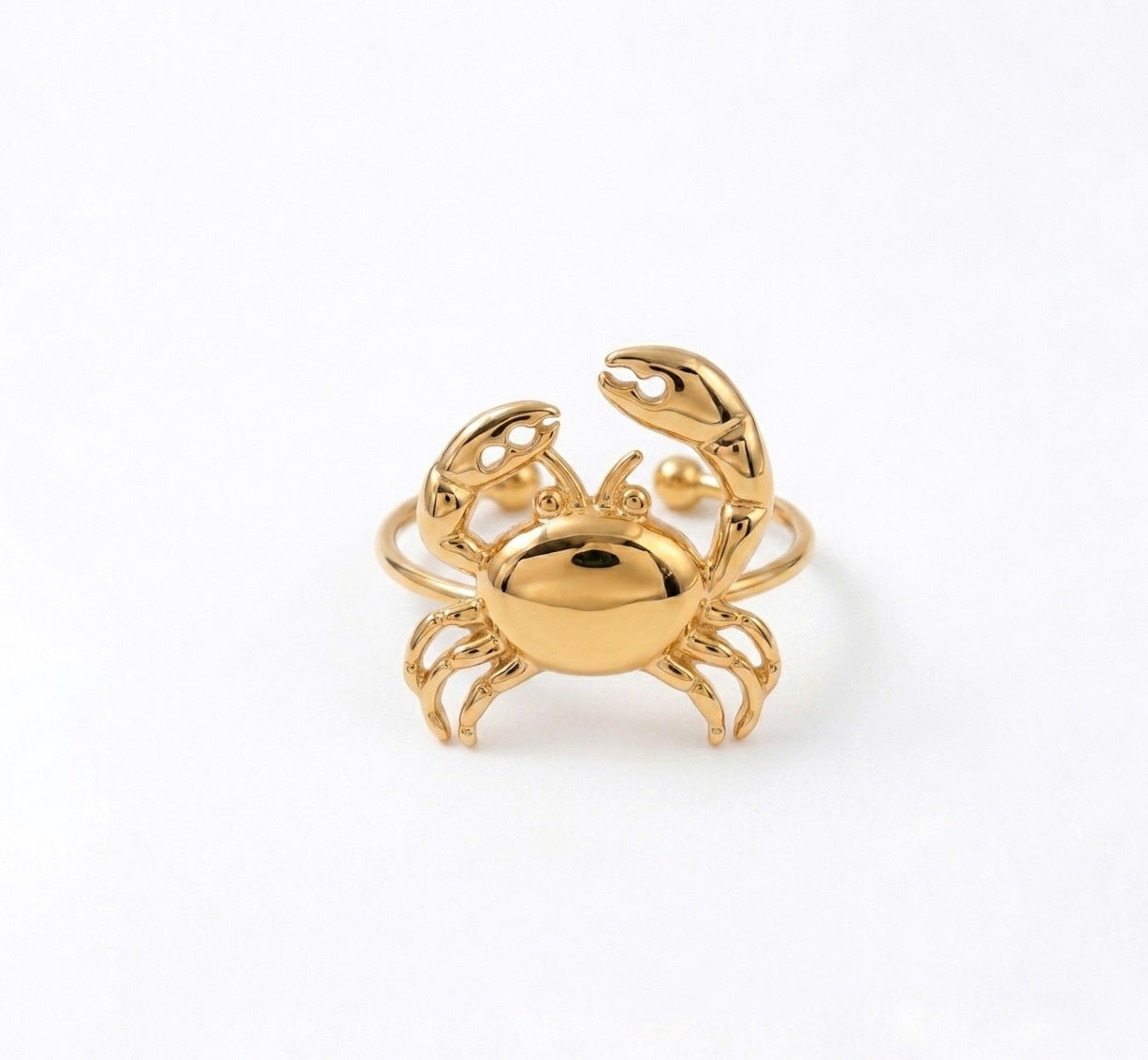 Anillo Centolla