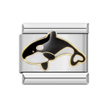 Orca